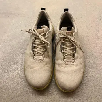 Xtrada 골프화 화이트