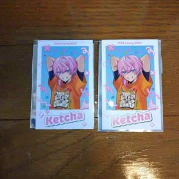 STPRFamily 랜덤 포토 카드 켓챠 군