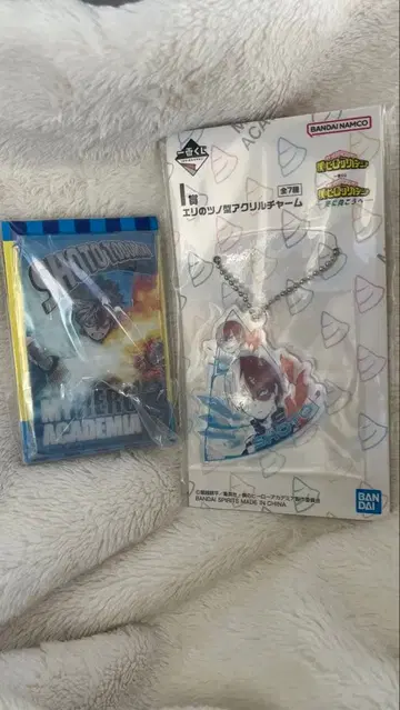 나의 히어로 아카데미아 제일복권 토도로키 쇼토