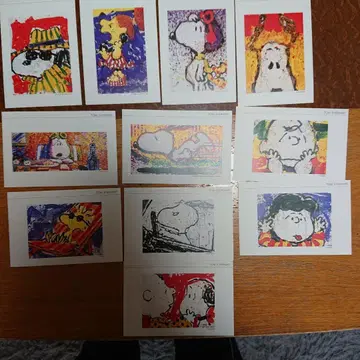 톰 에버하트 스누피 엽서 (케이스 포함)