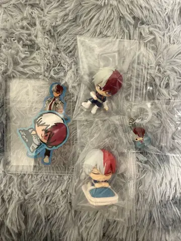 히로아카 토도로키 쇼토 세트