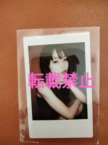 아이나 지 엔드 폴라로이드 혁명 도중 2025