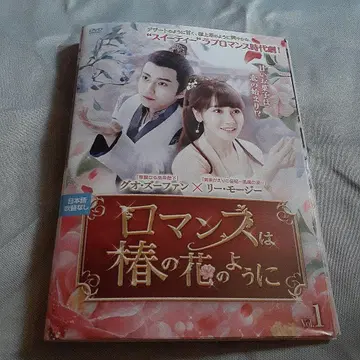 중국 드라마 DVD 로맨스는 동백꽃처럼 전 24화 전 12매 렌탈용