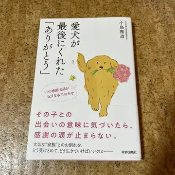 반려견이 마지막으로 준 [ 고마워 ]