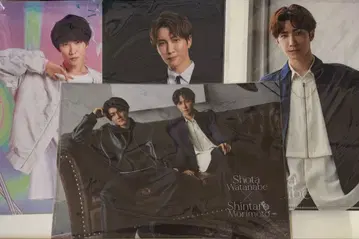 Snow Man 와타나베 쇼타 드림보이즈 클리어 파일 4장 묶음 판매