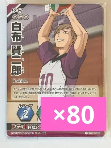 하이큐 시라부 켄지로