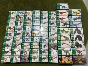 아니아 공룡 동물 곤충 묶음 판매 미개봉 낱개 판매 x 71개