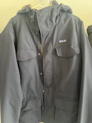 Patagonia 이즈머스 후드티