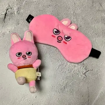 스키즈 창빈 Changbin 돼끼 Dwaekki 푸딩