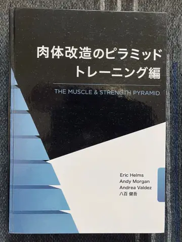 신체 개조의 피라미드 / 트레이닝 편