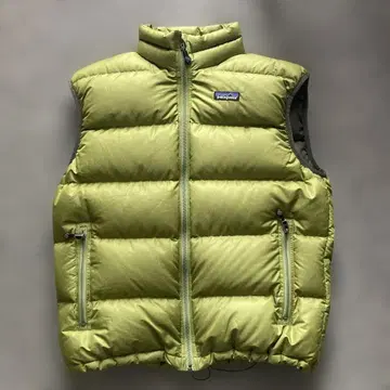 patagonia 다운 베스트 M 라이트 그린