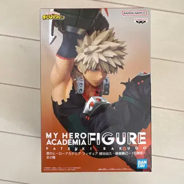 나의 히어로 아카데미아 히로아카 바쿠고 GiIO