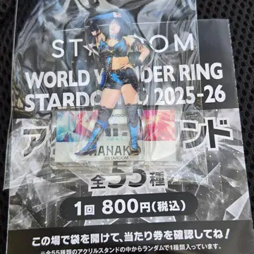 HANAKO 아크릴 스탠드 복권 스타 STARDOM