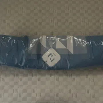 INI GIGO 한정판 토트백