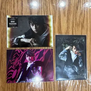 힙스테 D4 타니가사키 이부키 원반 특전 세트