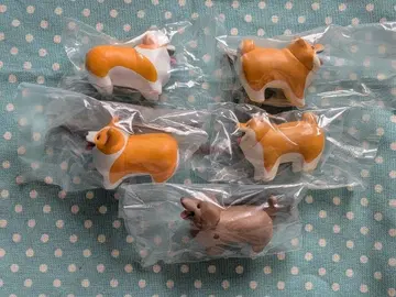 느낌 좋은 막대기를 겟한 개*코기 시바견 닥스*낱개 판매 가능*