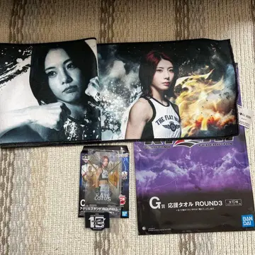 RIZIN 제일복권 케이트 로터스 아크릴 스탠드, 타월 세트