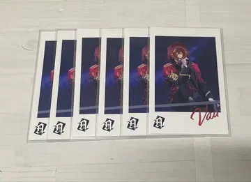 바우군 포토카드 포토카 6장