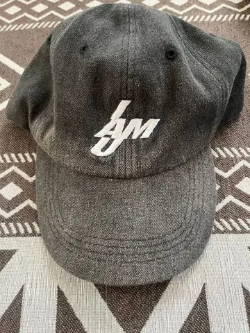 나카지마 켄토 캡 IAMU U2tea cap