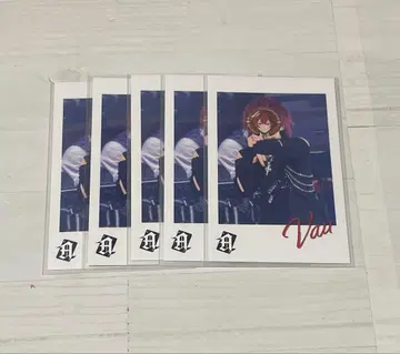 기사A 기사X 바우 바우군 포토 카드