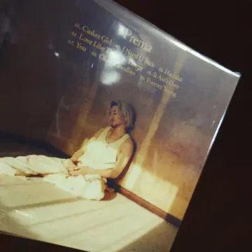 Pleroma 2CD 최초 한정 특전 포함 시리얼 없음