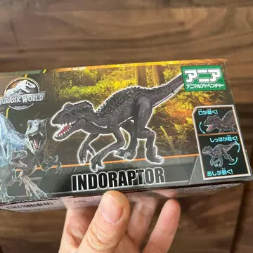 타카라토미 아니아 인도랩터