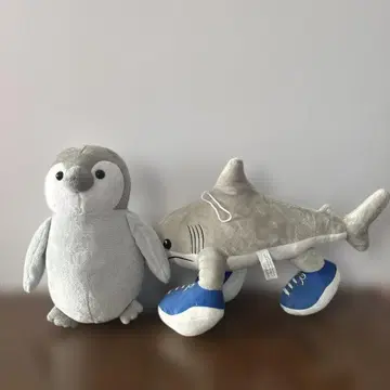 바다의 동물들 펭귄 신발을 신은 상어