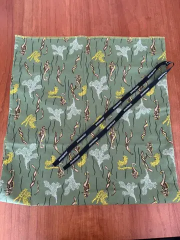 파타고니아의 런드리색