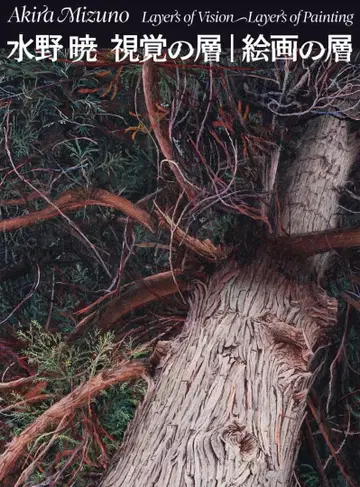 신간 미즈노 아키 시각의 층 | 회화의 층 작품집