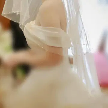 베일 결혼식 웨딩 신부 잡화