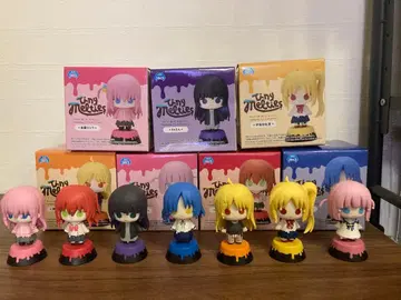 홋치 더 록 TinyMelties 세미 컴프 덤 포함