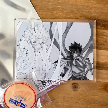 페어리 테일 프린세스 카페 스팅 로그 아크릴 스탠드