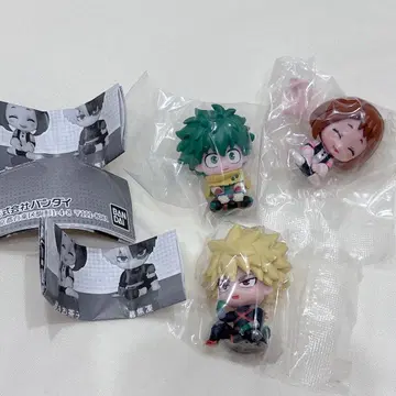 스와라세타이 히로아카 바쿠고 카츠키 미도리야 이즈쿠 우라라카 오챠코