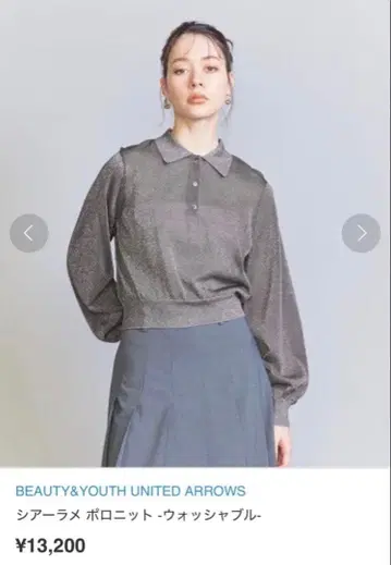 BEAUTY&YOUTH 시어 라메 폴로 니트 -워셔블-