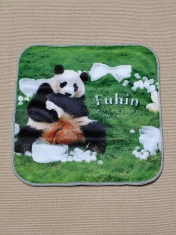 어드벤처 월드 팬더 카에데하마 미니 타월