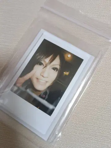 골든 폭격기 금폭 키야부 유타 폴라로이드 사진 새상품급