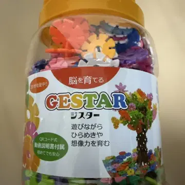 GESTAR 지스터 컬러풀 블록