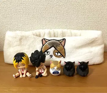 켄마 고양이 등 묶음