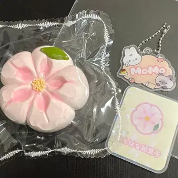 [오늘 익명 배송] momo 화과자 시리즈 시크릿 스퀴즈