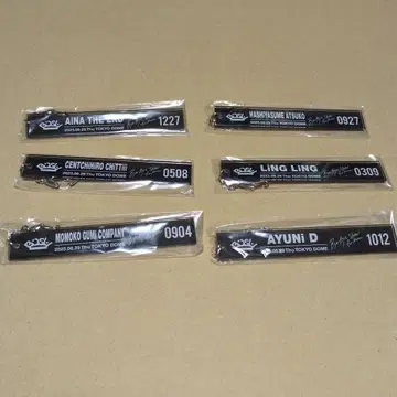 BiSH 열쇠 잠금 호텔 키링 6개 세트 도쿄돔 [미개봉 새상품]