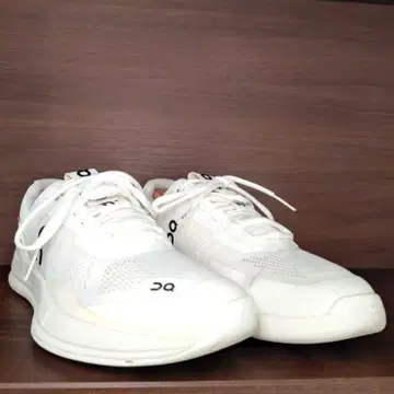 가격 협의 ON/온 THE ROGER Pro 27cm 경미한 사용품