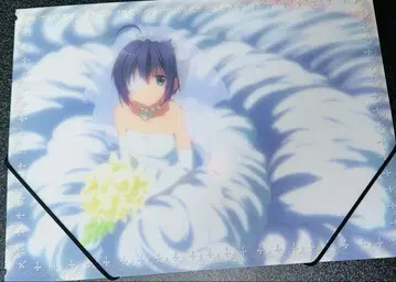 중2병이라도 사랑이 하고 싶어! 클리어 파일 세트 & 케이스