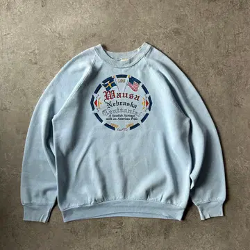 90s 프룻 오브 더 룸 래글런 맨투맨 USA제 L 스카이블루