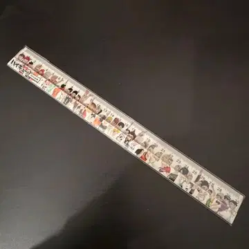 하이큐 30cm 눈금자