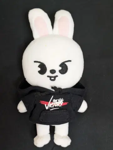 straykids skzoo mini plush 리빗 봉제 인형