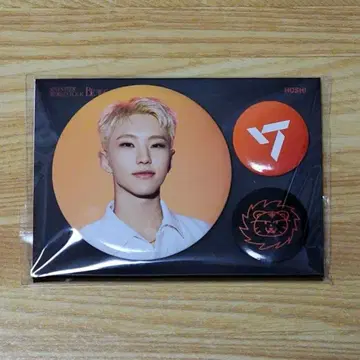SEVENTEEN BE THE SUN 캔뱃지 호시