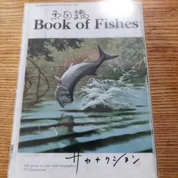 Book of Fishes DVD 사카낙션 설명서 포함 새상품급
