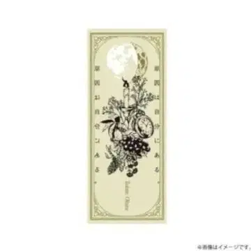 원인은 자신에게 있다. 조소 윤리학의 권함 네임 타월 오쿠라 타카토