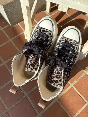 ALL STAR 레오파드 무늬 통굽 스니커즈