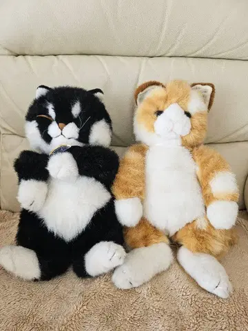 느와르만마 외 2체 세트